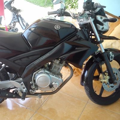 vixionez's profile picture. Motore Rossi