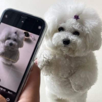 hypnosさんのプロフィール画像