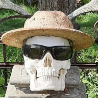 Heiliger Affe (@heiligeraffe) 's Twitter Profile
