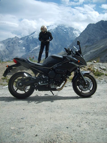 AnnaLisaDistani's profile picture. 😻Catlady 🏍️Biker 📸 Photolover 
Boss and Creative @ WannaDis 👕
Casual & Creative wear by @weakclothing