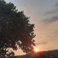 @narcymaya2🇪🇨 (@narcymaya2) 's Twitter Profile Photo @narcymaya2🇪🇨 (@narcymaya2) 's Twitter Profile Photo