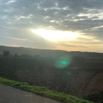 xy0049's profile picture. Simsalabim