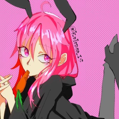 黒ウサギさんのプロフィール画像