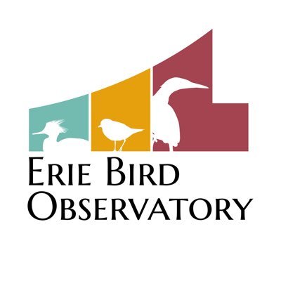 Erie Bird Observatory fosters enthusiasm for birds and conservation through avian research and public engagement.