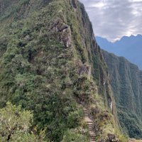 Naresh (@naresh_lankala) 's Twitter Profile