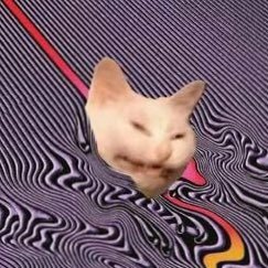 bisexual rat bastard 🐀さんのプロフィール画像