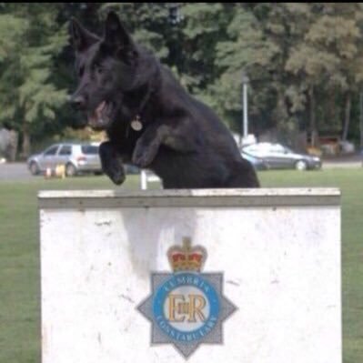 Cumbria Police Dog Section