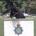 Cumbria Police Dog Section (@policedogunit) Twitter profile photo Cumbria Police Dog Section (@policedogunit) Twitter profile photo