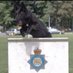 Cumbria Police Dog Section (@policedogunit) Twitter profile photo