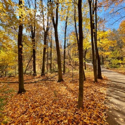 Kevinhu525's profile picture. 