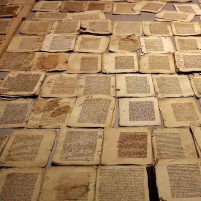 Assistant Professor in Islamic Philosophy & History, Leiden University| Series Editor, Islamic Thought & History| Editor in Chief, Taḥqīq Journal, Brill.