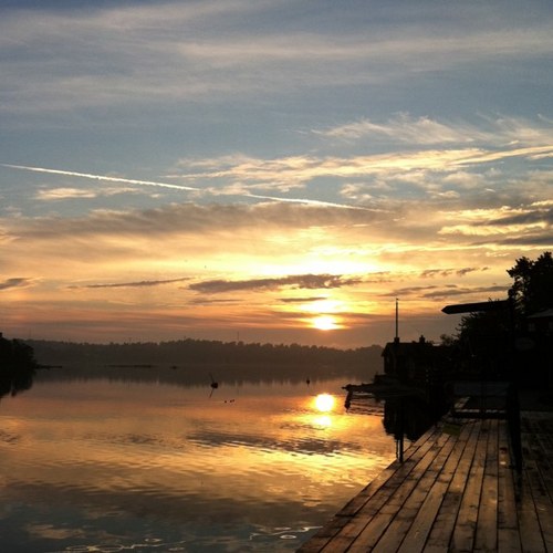 ekehult's profile picture. 