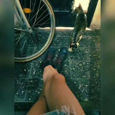 Felinamente2's profile picture. Y todos tienen una casa blanca Y todos tienen un poco de amor  zumbando en mi caverna gris