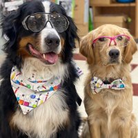 Bunsen, BEAKER, and Bernoulli🇨🇦 (@bunsenbernerbmd) 's Twitter Profile