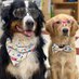 Bunsen, BEAKER, and Bernoulli🇨🇦 (@bunsenbernerbmd) Twitter profile photo Bunsen, BEAKER, and Bernoulli🇨🇦 (@bunsenbernerbmd) Twitter profile photo