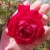 🌹عـــيــ🅰🅻🅼🅰 🅷🅰ـــون المها🌹 (@auon_almaha) Twitter profile photo 🌹عـــيــ🅰🅻🅼🅰 🅷🅰ـــون المها🌹 (@auon_almaha) Twitter profile photo