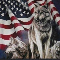 Richard Bartholomew (@richard61879531) 's Twitter Profile