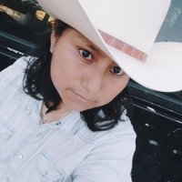 Elena Avelino (@elenaavelinoram) 's Twitter Profile Photo