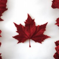 Sandy J (@sandyhi2244) 's Twitter Profile
