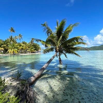 I’m a Certified Tahiti Travel Specialist - let me help you plan your dream trip! 2023 is the “Year of Tahiti” so follow along for 52 weeks of info & photos!