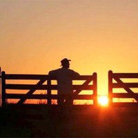 mairson13071976 (@agricultura2023) 's Twitter Profile Photo mairson13071976 (@agricultura2023) 's Twitter Profile Photo
