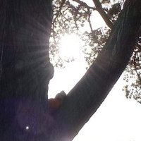 Phil Aindow 🌈† (@thatpipinaindow) 's Twitter Profile