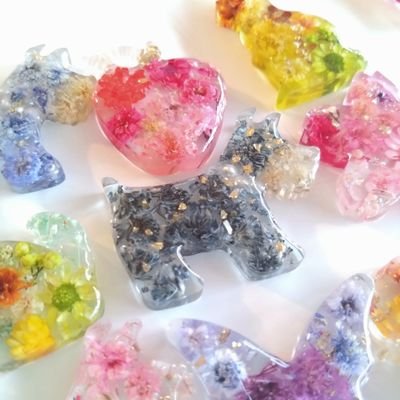 ハンドメイドでうちの子グッズを作成しています😊
レジン・お花・粘土で想いをカタチにするお手伝い✨
みんな大好き🍎グッズも作成中🐶
.
神出鬼没のプレゼント配布中🎁
気軽にフォローしてください💕
#ハンドメイドアクセサリー #レジン

https://t.co/a0QiJXu85I…