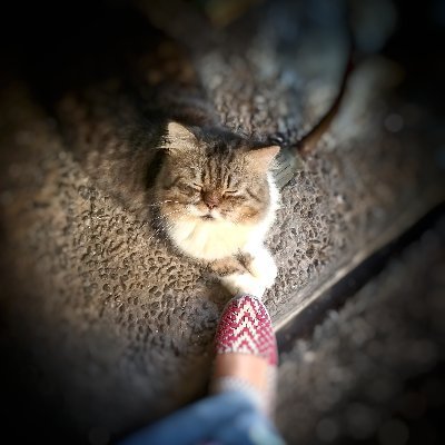 sheastii's profile picture. Being happy is a MUST !!!