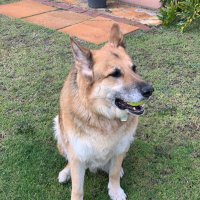 Rachel Bonney (@rachelbonney4) 's Twitter Profile Photo Rachel Bonney (@rachelbonney4) 's Twitter Profile Photo
