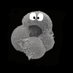 ForamsNews (@foramsnews) Twitter profile photo ForamsNews (@foramsnews) Twitter profile photo