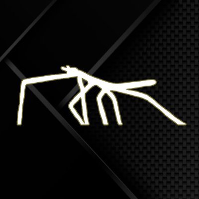 stickbug_en's profile picture. OFFICIAL ACCOUNT OF STICKBUG ENGINEERING SARL
greatest online racing team OF ALL TIME
racing in @diore_nr2003
team principal: @spirit_of_solar