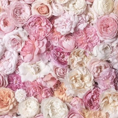 Lola_Rod25's profile picture. 