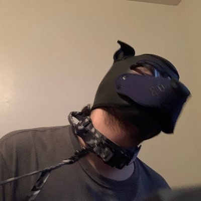 LittleScrappy32's profile picture. 23 just exploring different things gay🏳️‍🌈 AB/DL Pup/Furry kind of shy other than that kind of boring 18+only