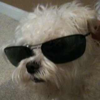 jerry4fish's profile picture. Mobilizing the world