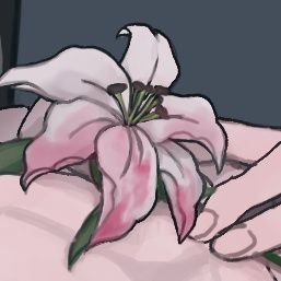 Domiさんのプロフィール画像