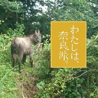 あなかし (@anakashi1) 's Twitter Profile Photo あなかし (@anakashi1) 's Twitter Profile Photo