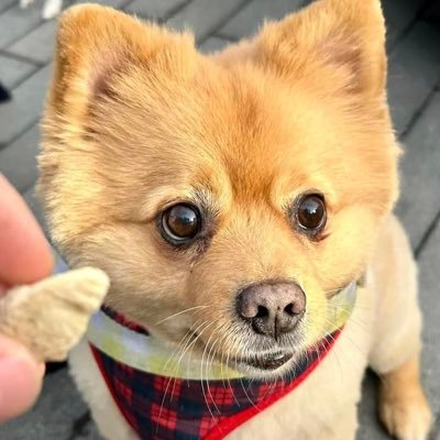 Dias086238693's profile picture. Optimistic