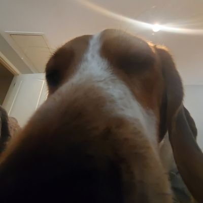 AwesomeCake8's profile picture. im not old, but

fuck im old