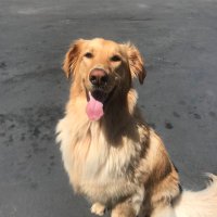 myinsidevoice (@myinsidevoice31) 's Twitter Profile