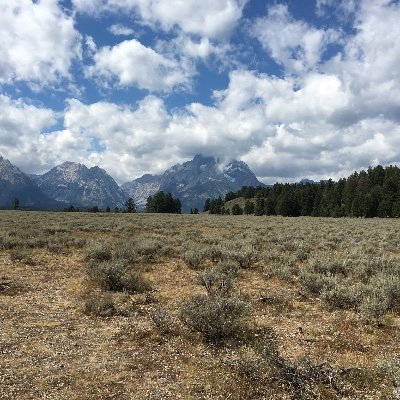 Allan5553's profile picture. 