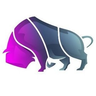 bison_trade Profile Picture