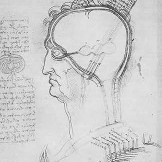 HardN3rvous's profile picture. 