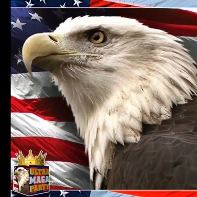 BooieBurton's profile picture. MAGA girl🇺🇸🇺🇸🇺🇸