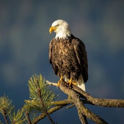 destination067's profile picture. A lonely person looking for the answers of unkown mystries. Trying to understand the My self ( inner) and world (outside).Like to see likeminded people