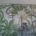 Jayden Tucker - @JaydenT53990873 - Twitter