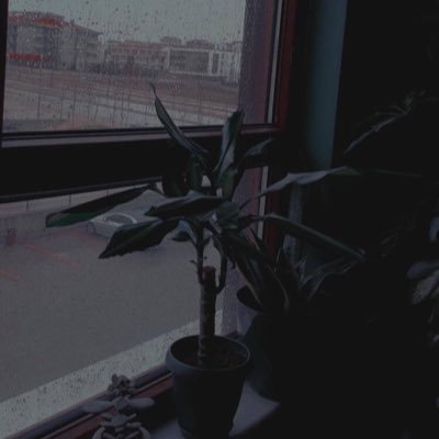 gangsterkankisi's profile picture. ssssaaaaa