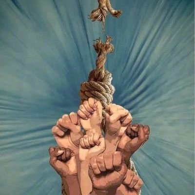 skygirl2833's profile picture. 