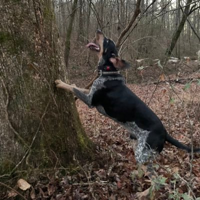 SlamDuncanIV's profile picture. bluegrass, vols, and Jesus