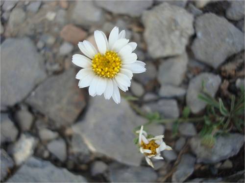 lzaggs427's profile picture. Professional listener who knows libraries are magical, beauty is all around you, and chocolate solves everything. DFTBA.