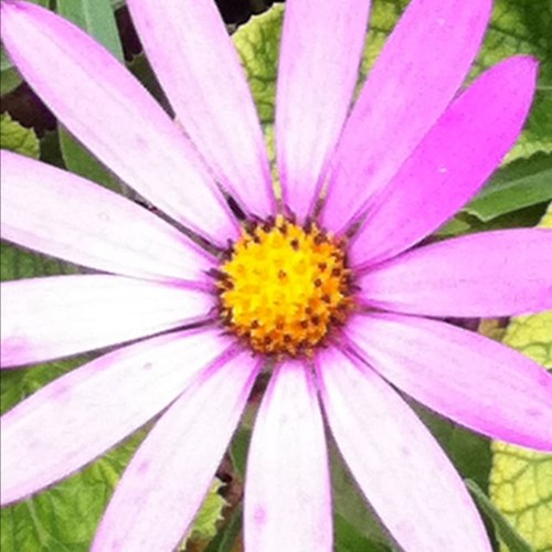 KeelyPar's profile picture. 